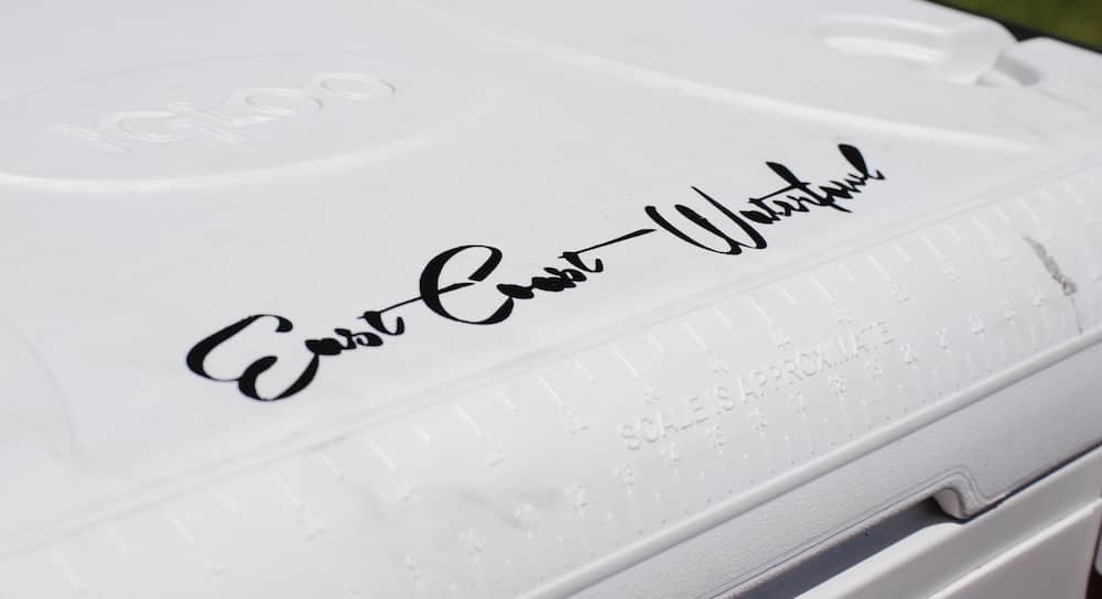 15" ECW Script Decal