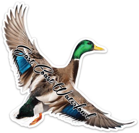 waterfowl duck decals