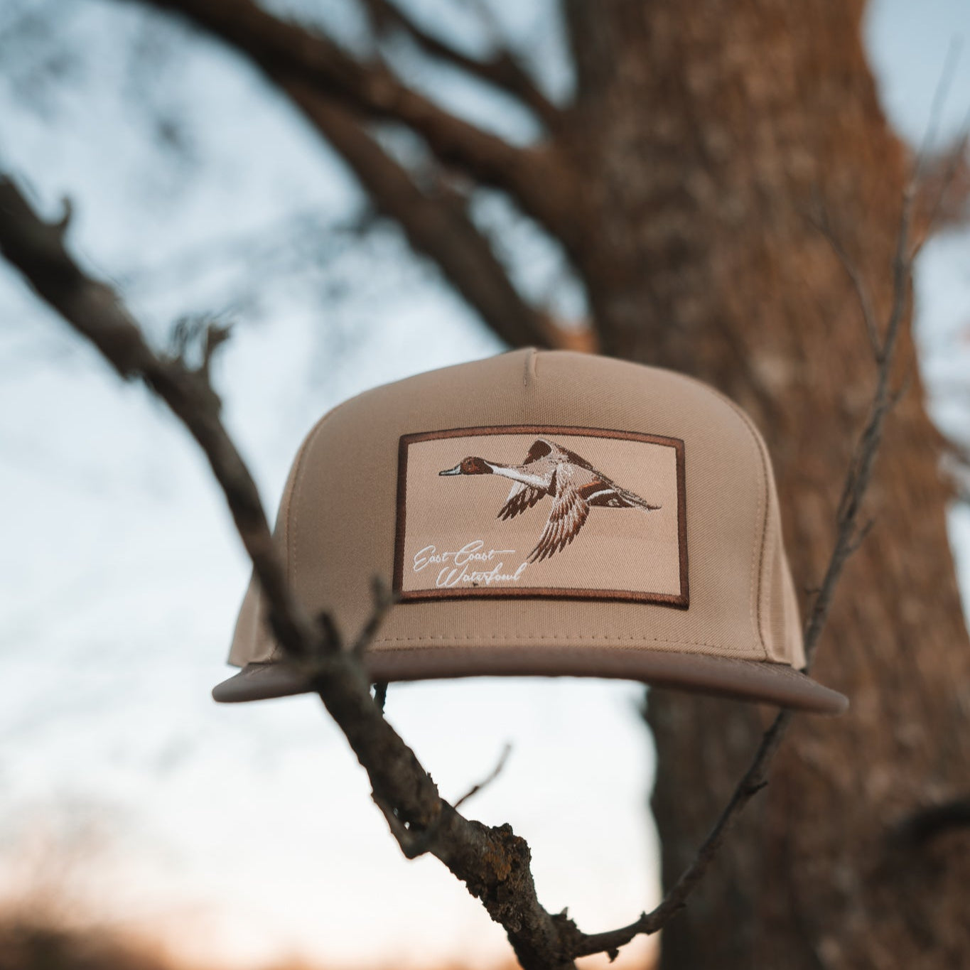 Pintail Patch Hat
