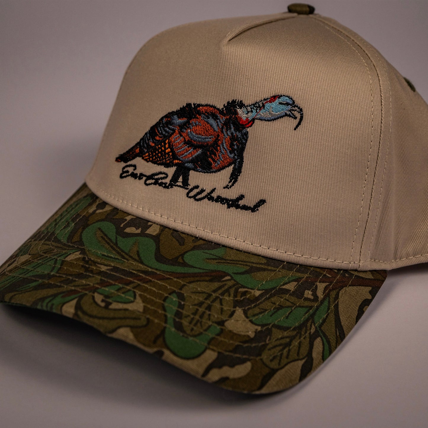 Talking Tom Embroidered Hats