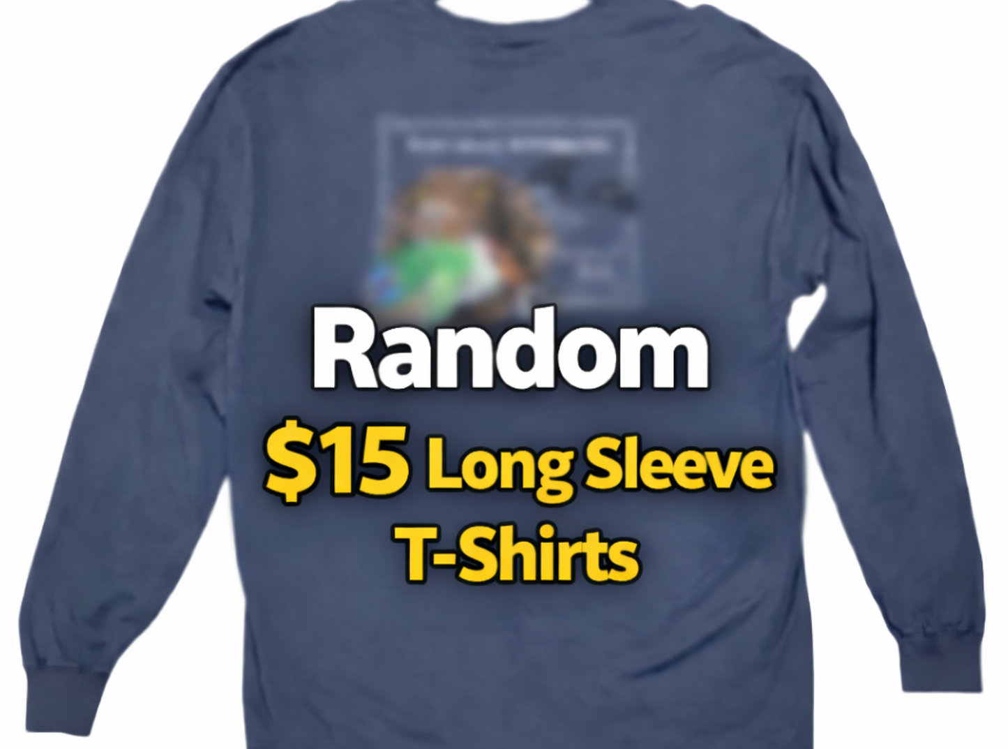 Random $15 ECW Long Sleeve T-Shirts
