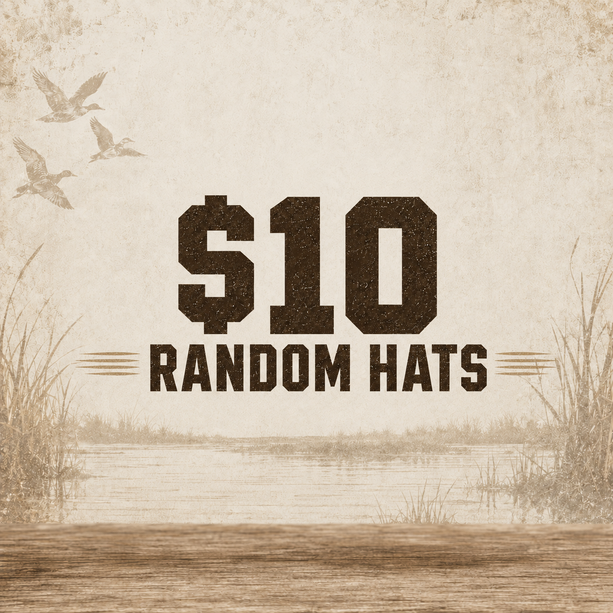 Random $10 ECW Hats