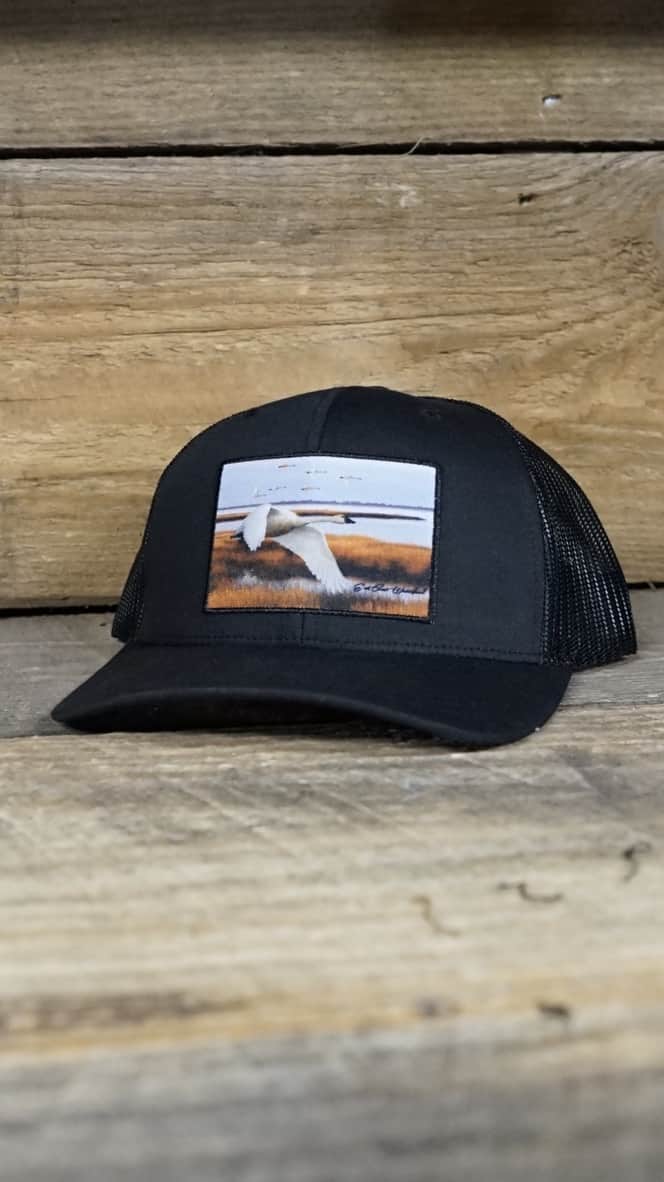 All Black Swan Patch Hat