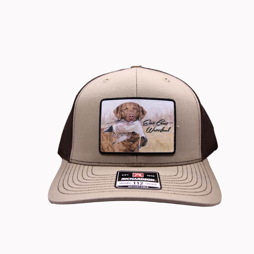 Banded Chesapeake Bay Retriever Patch Hat