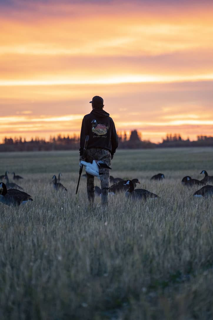 Black Scenic Goose Hoodie