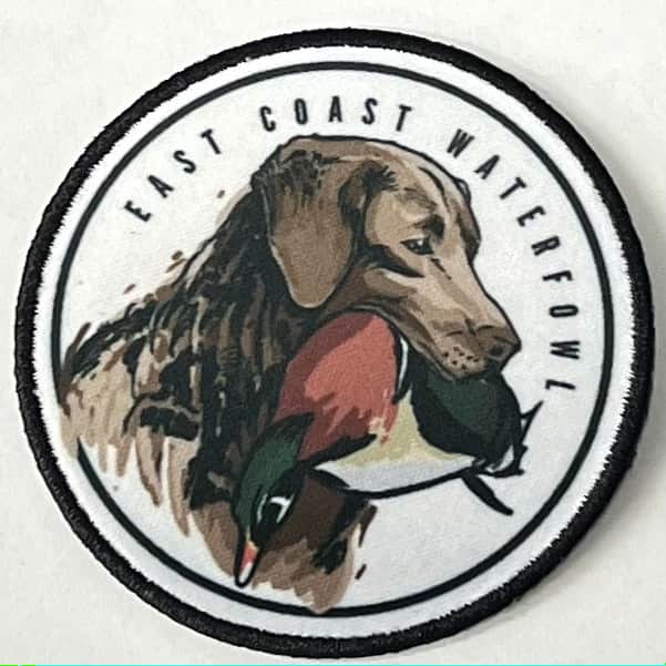 Circle Chessie Patch