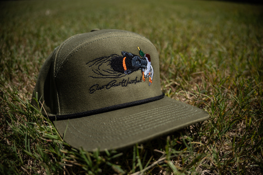 "Water Dog" Embroidered Hats