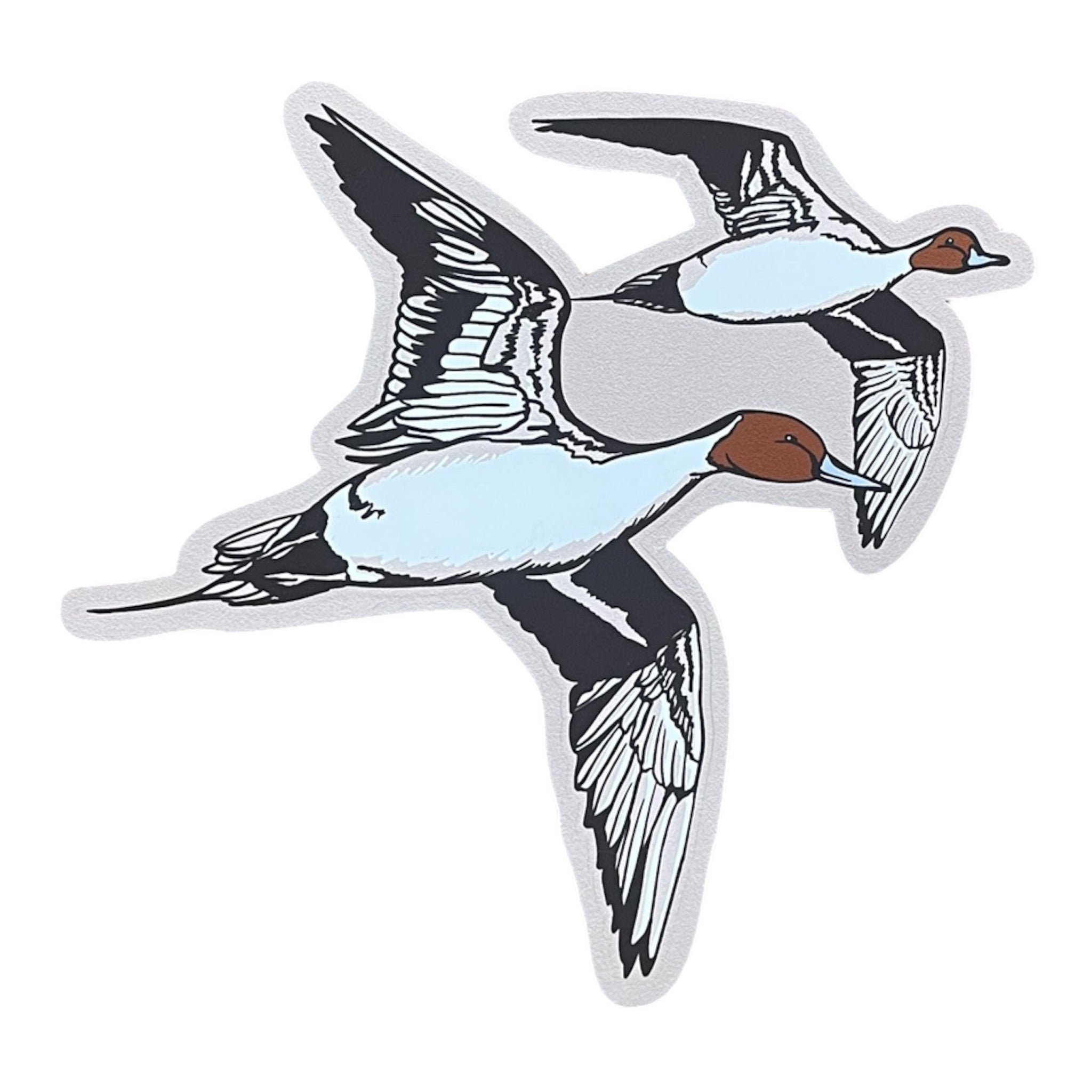 Bankin Pintail Decal