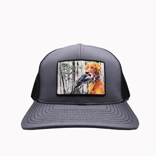 Banded Golden Retriever Patch Hats