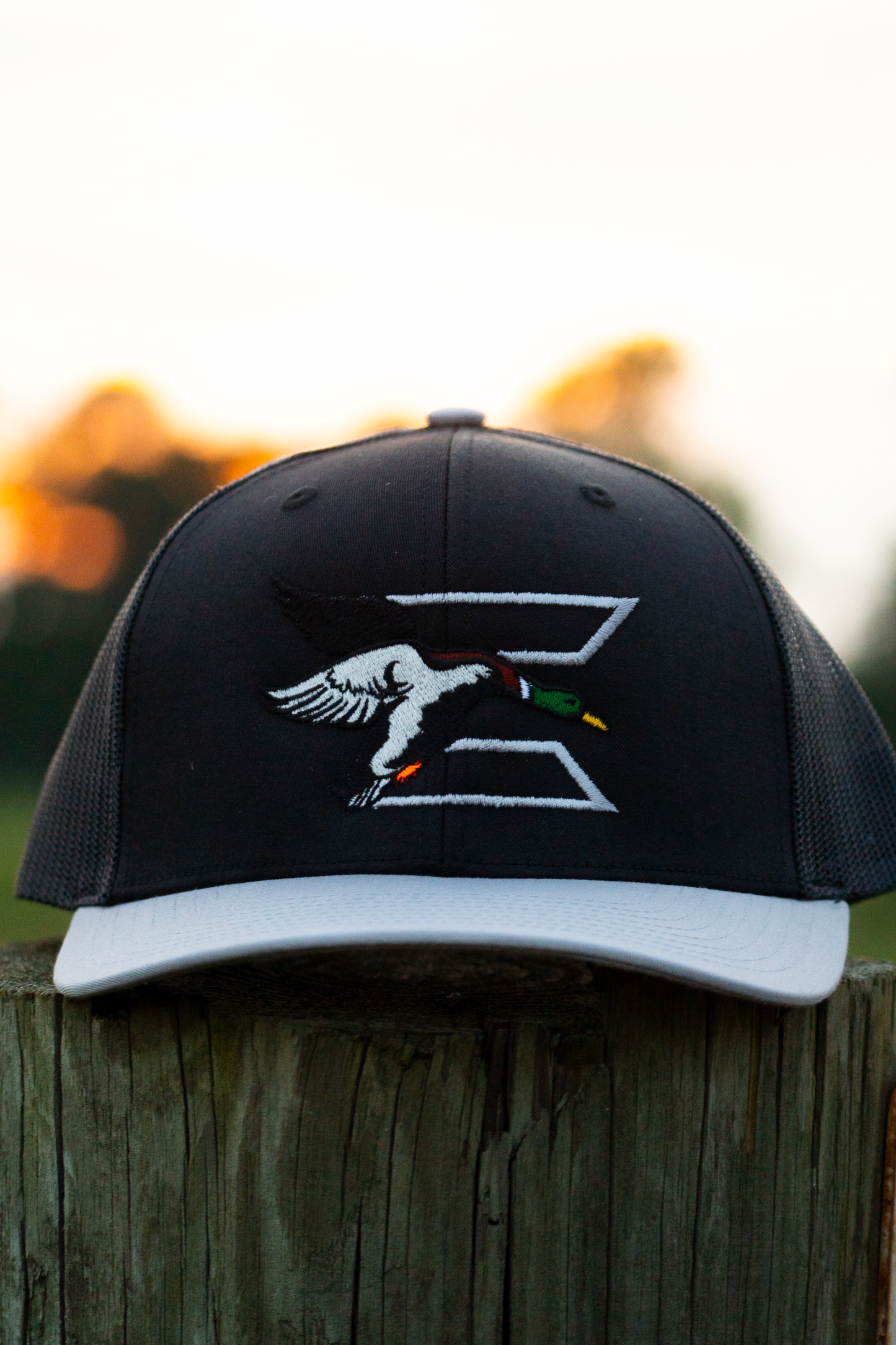 ECW 2.0 Logo Outline Hat (E Black/ Mallard)