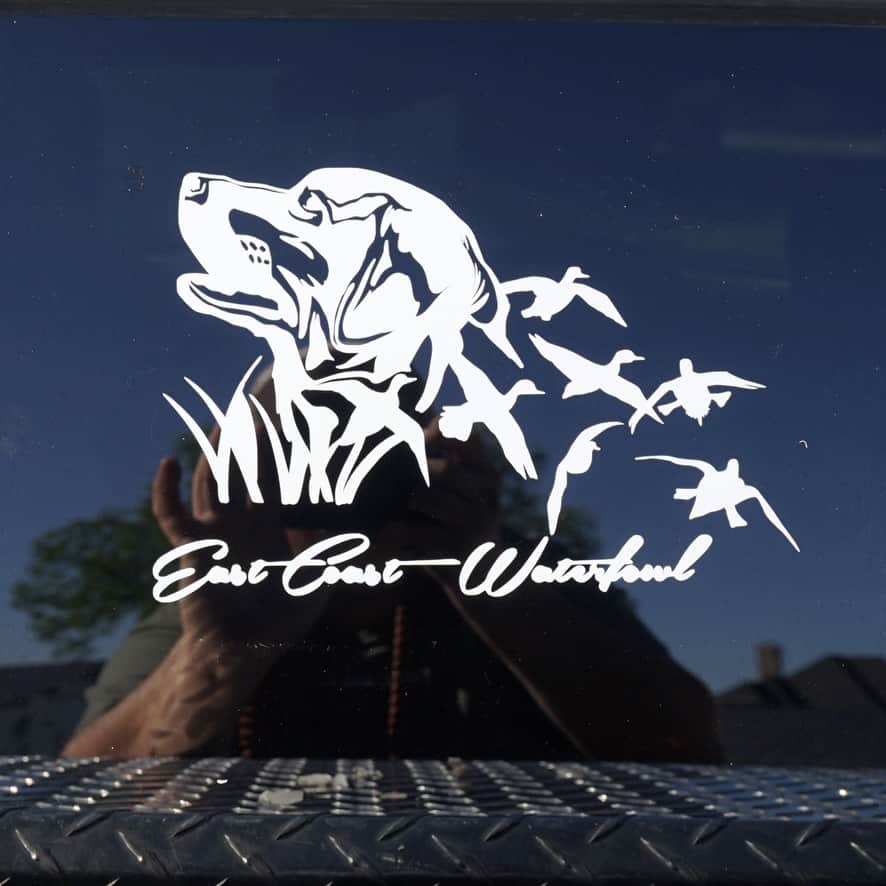 Eyes To The Sky Lab Decal
