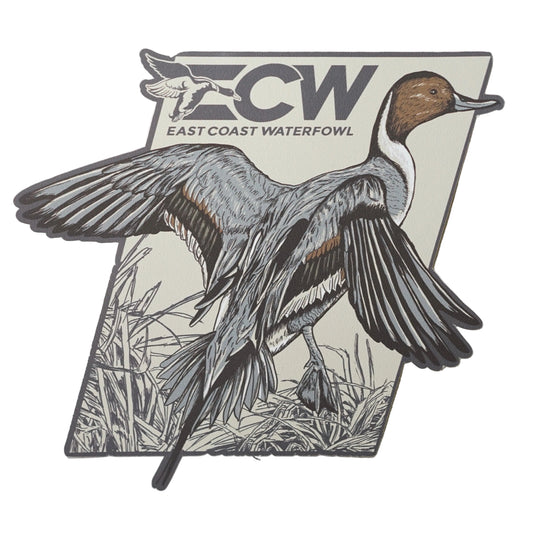 ECW Pintail Decal