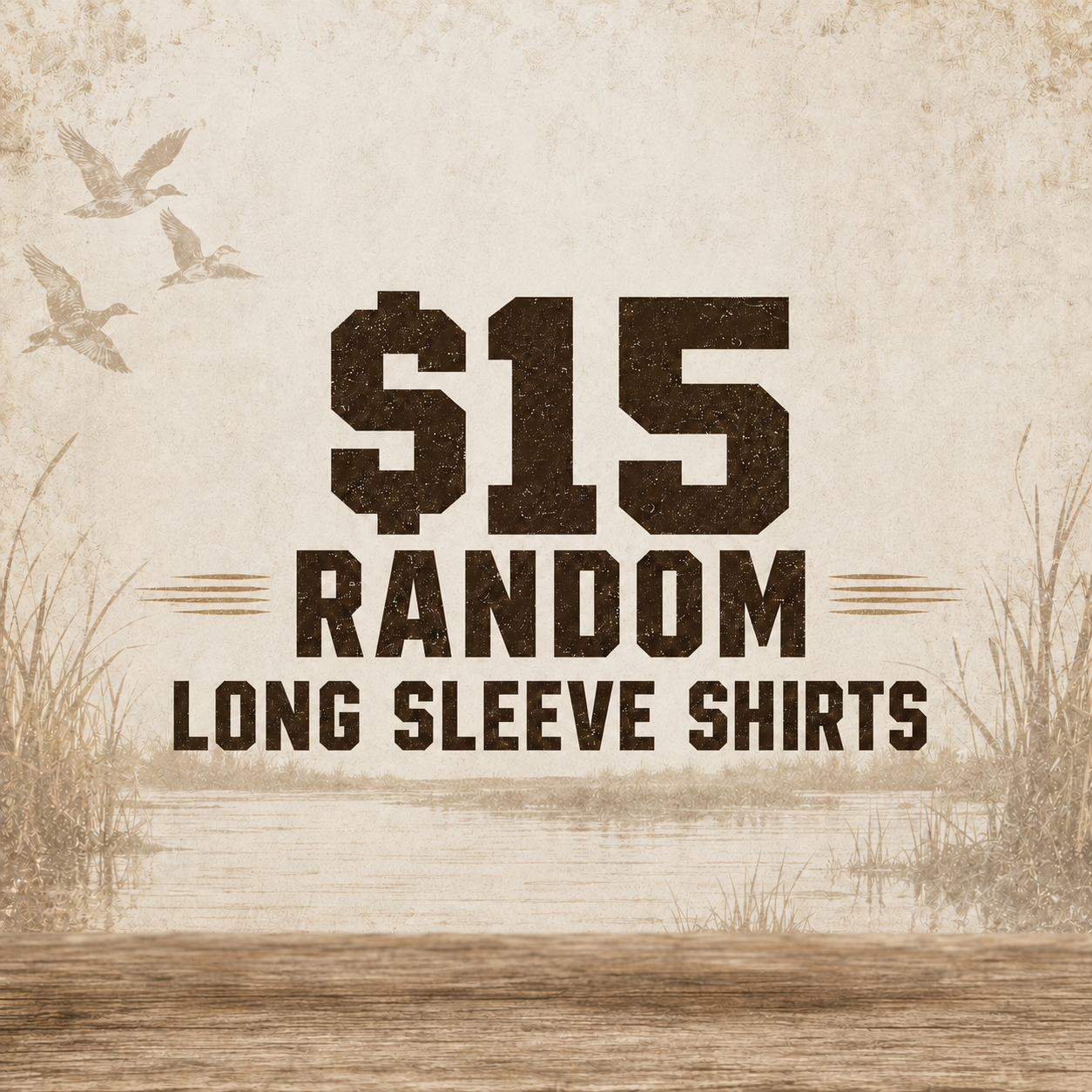 Random $15 ECW Long Sleeve T-Shirts