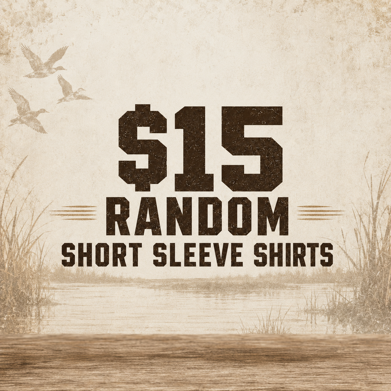 Random $15 ECW Short Sleeve T-Shirts